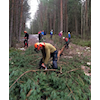 Dugnad i Furuberget lørdag 25. oktober