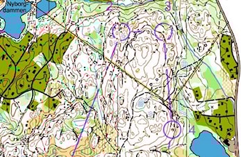 Gaute på 13.plass i KM-lang