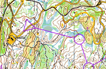 Gaute nr.11 i Asker