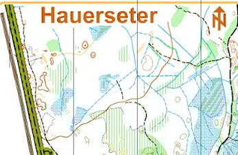 28 deltagere løp Koronaspesial på Brennifjellet
