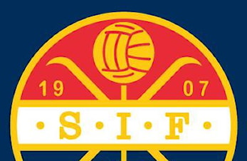 Årsmøte - Strømsgodset Idrettsforening