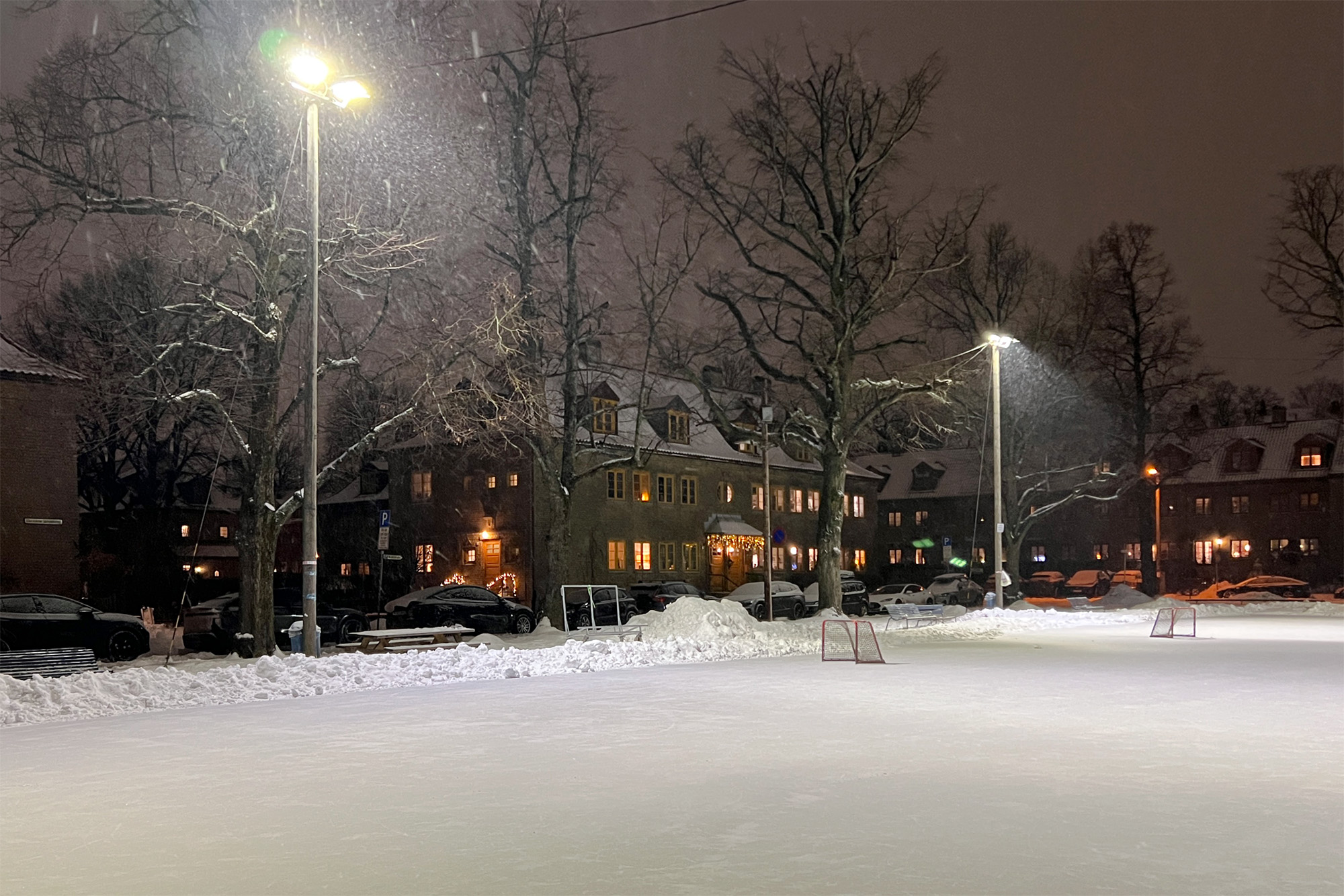 Nyhetsbrev Lille Tøyen Hageby, februar 2026