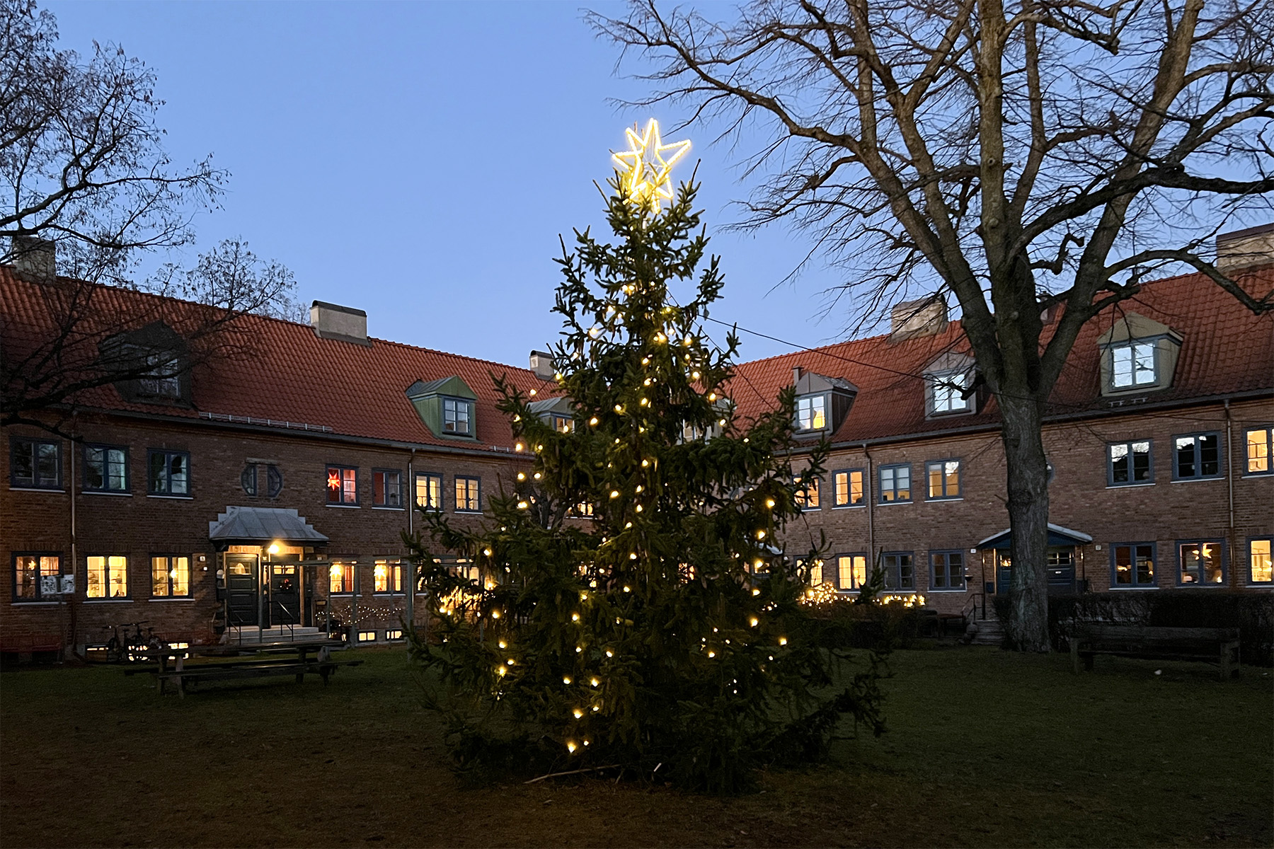 Jul i Lille Tøyen Hageby – nyhetsbrev desember 2025