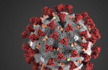 Informasjon om koronavirus
