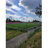 Uke 31- Oppstart 2026 del 2