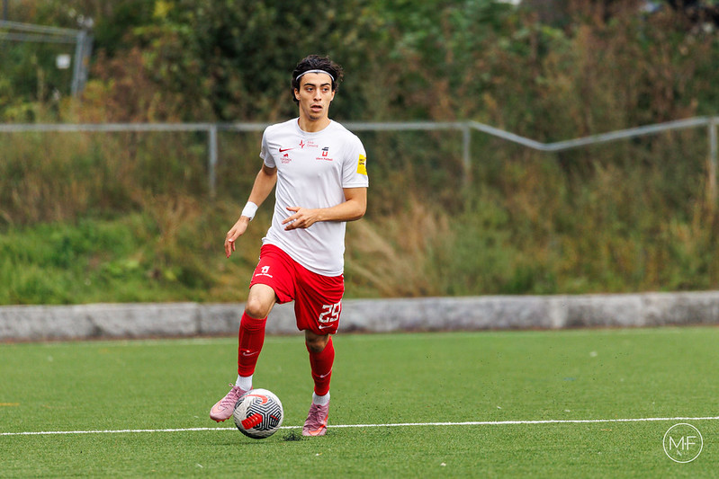 Uke 3 - Snøen laver ned