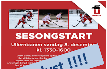 Bandyns Dag - Avlyst !!!