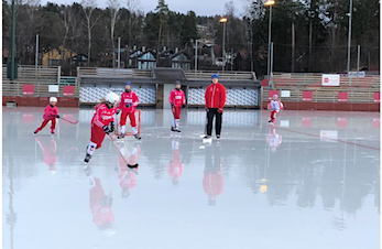 Søkes : Jenter født 2009 og yngre - til å spille bandy
