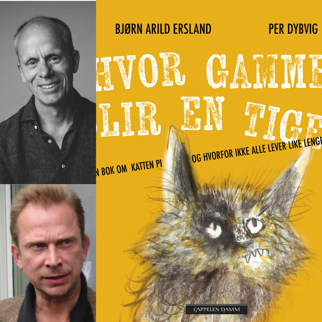 Uke 2: Ukas anbefalinger!