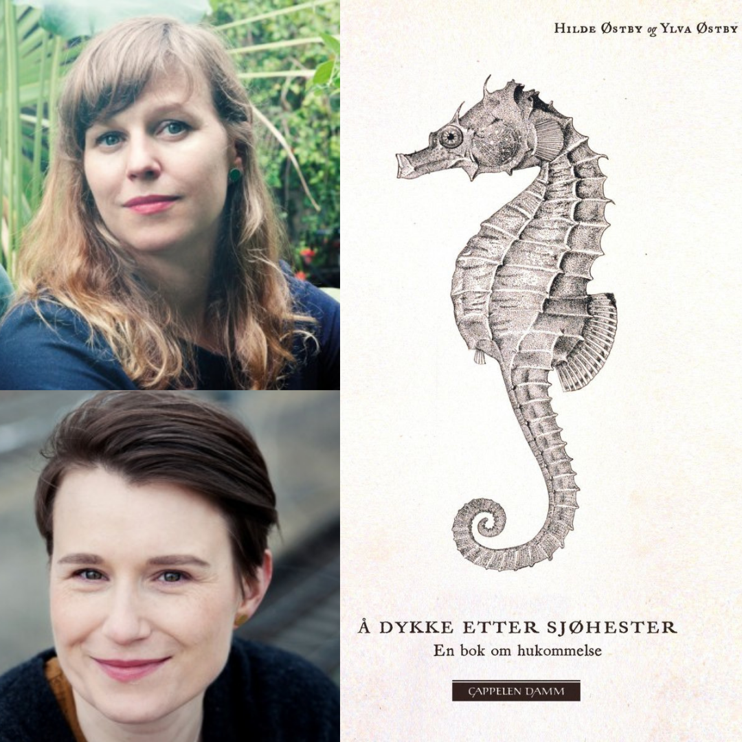 Siste oppsummering av ukas anbefalinger