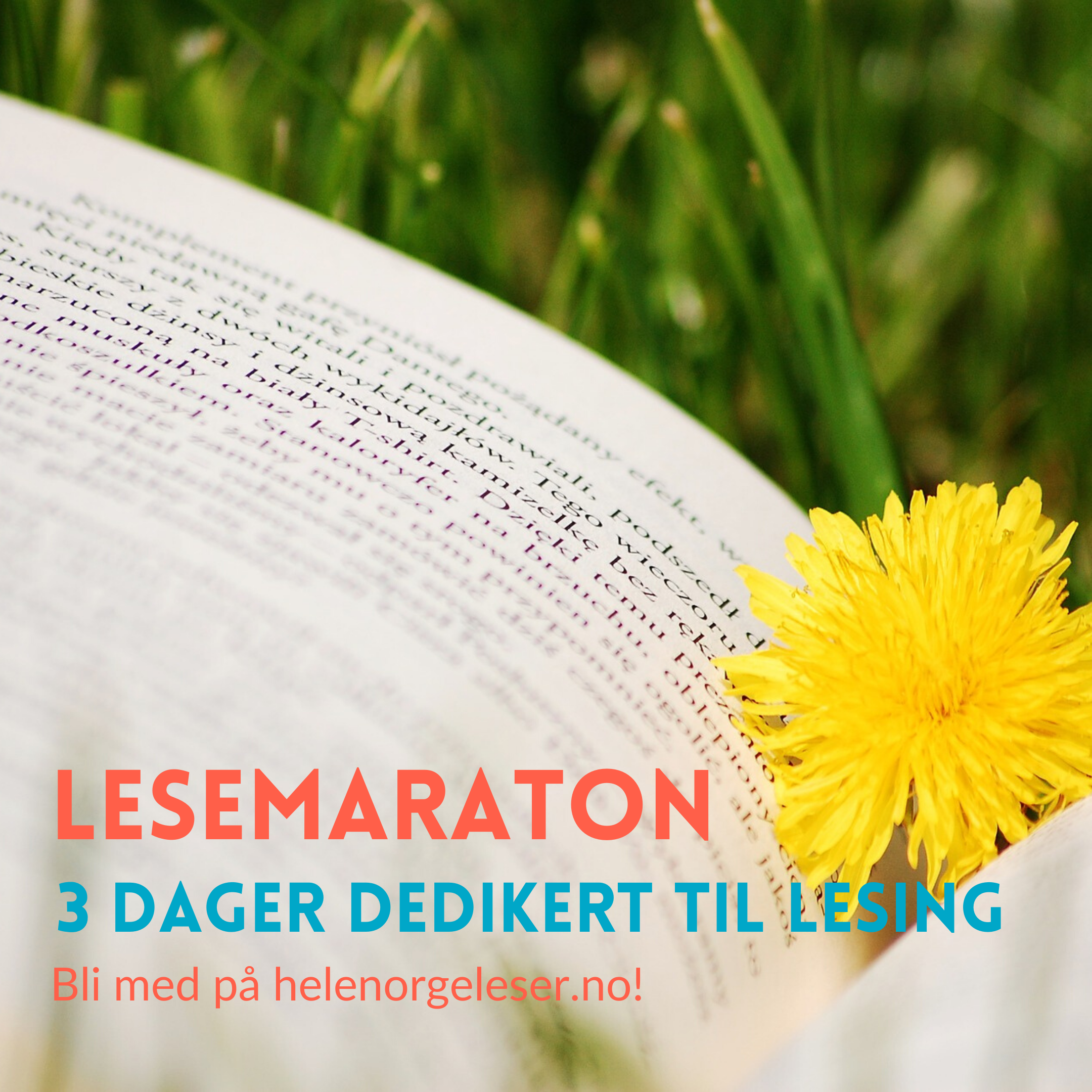 Poeng og plassering i lesemaraton