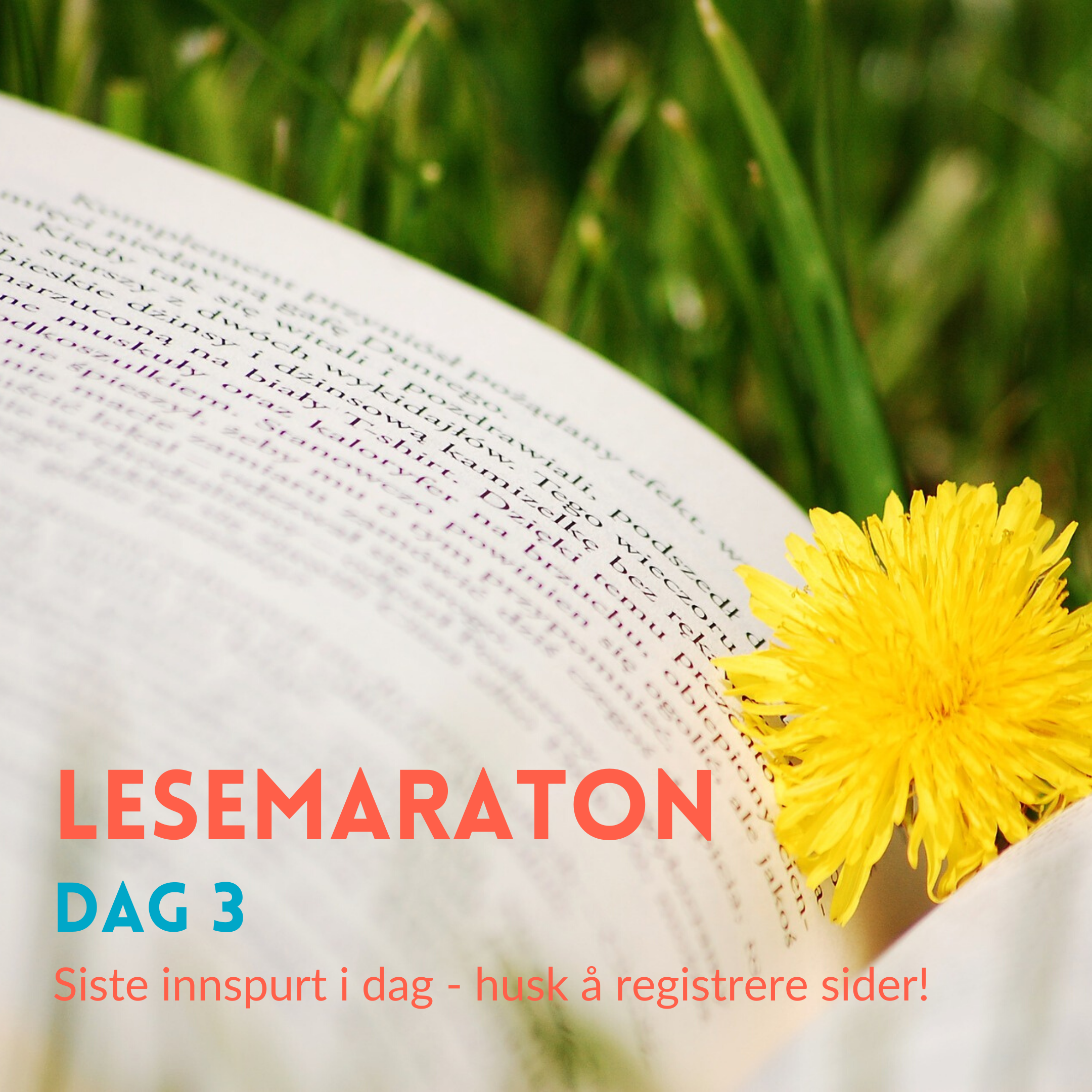 Siste dag i lesemaratonet