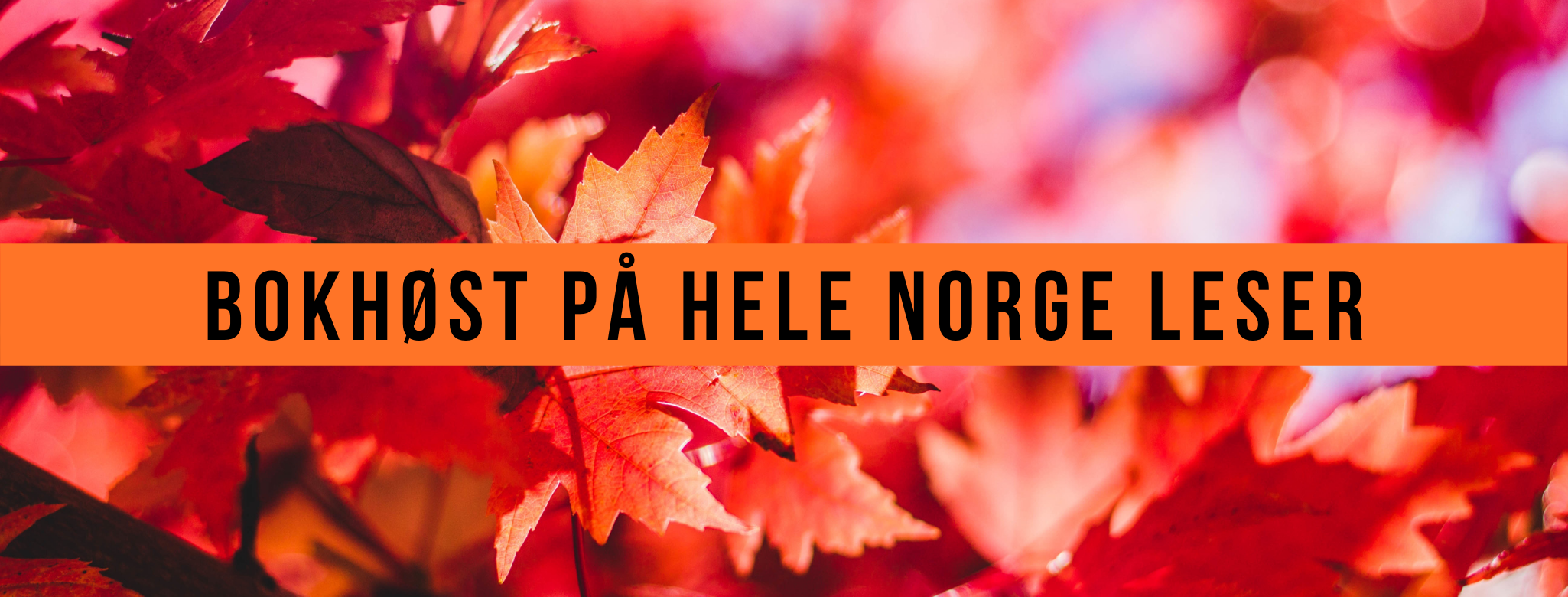 Lesesommeren er over, bokhøsten er i gang