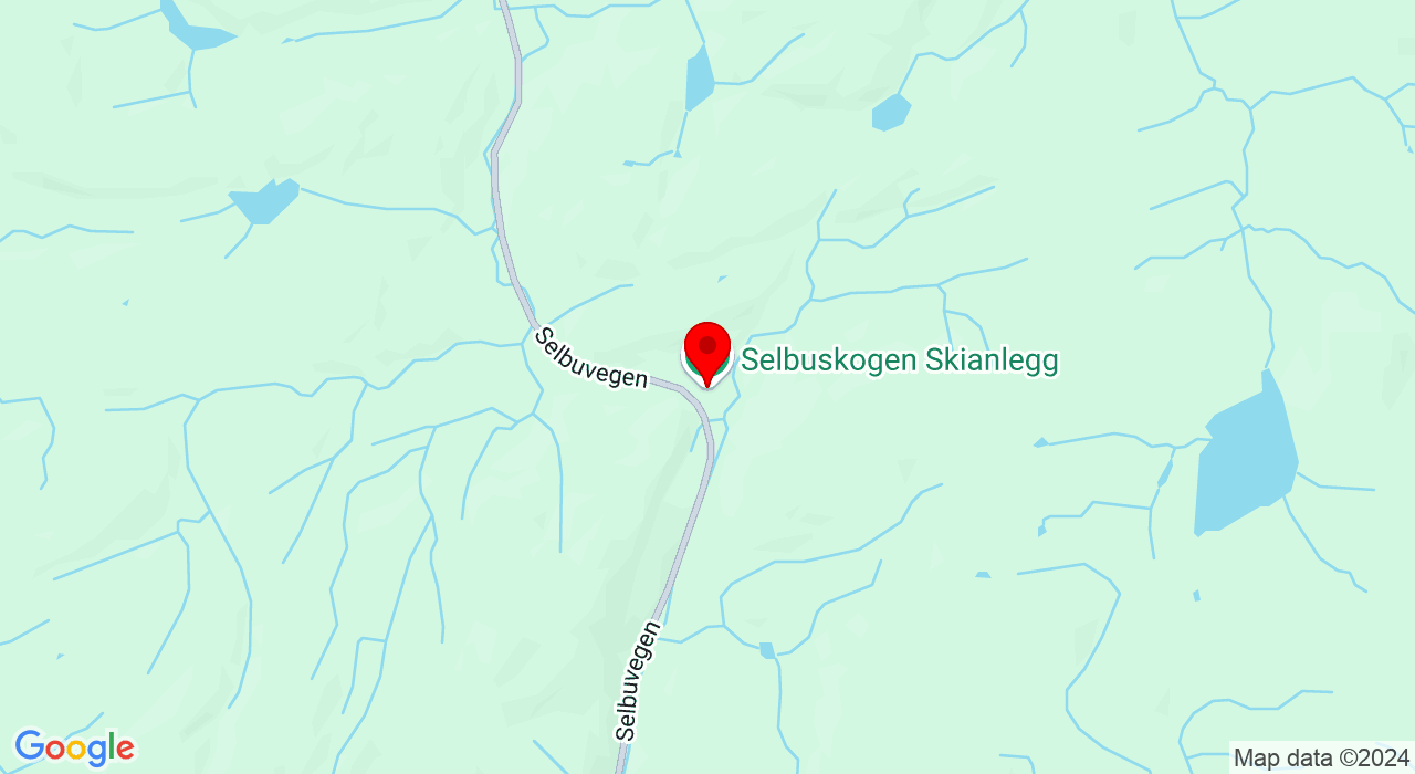 Rulleski