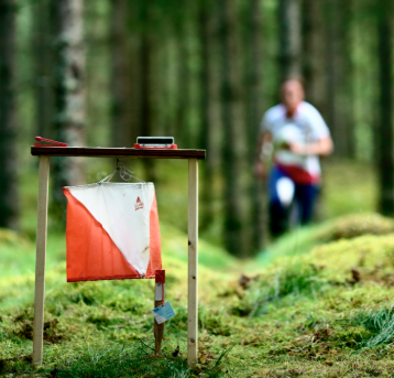 Image for Terminliste 2026