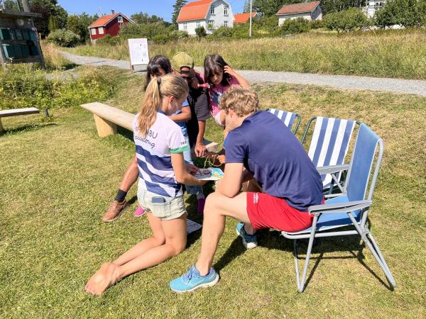 Image for Ferieløpet Flåttsankern - orientering for alle!
