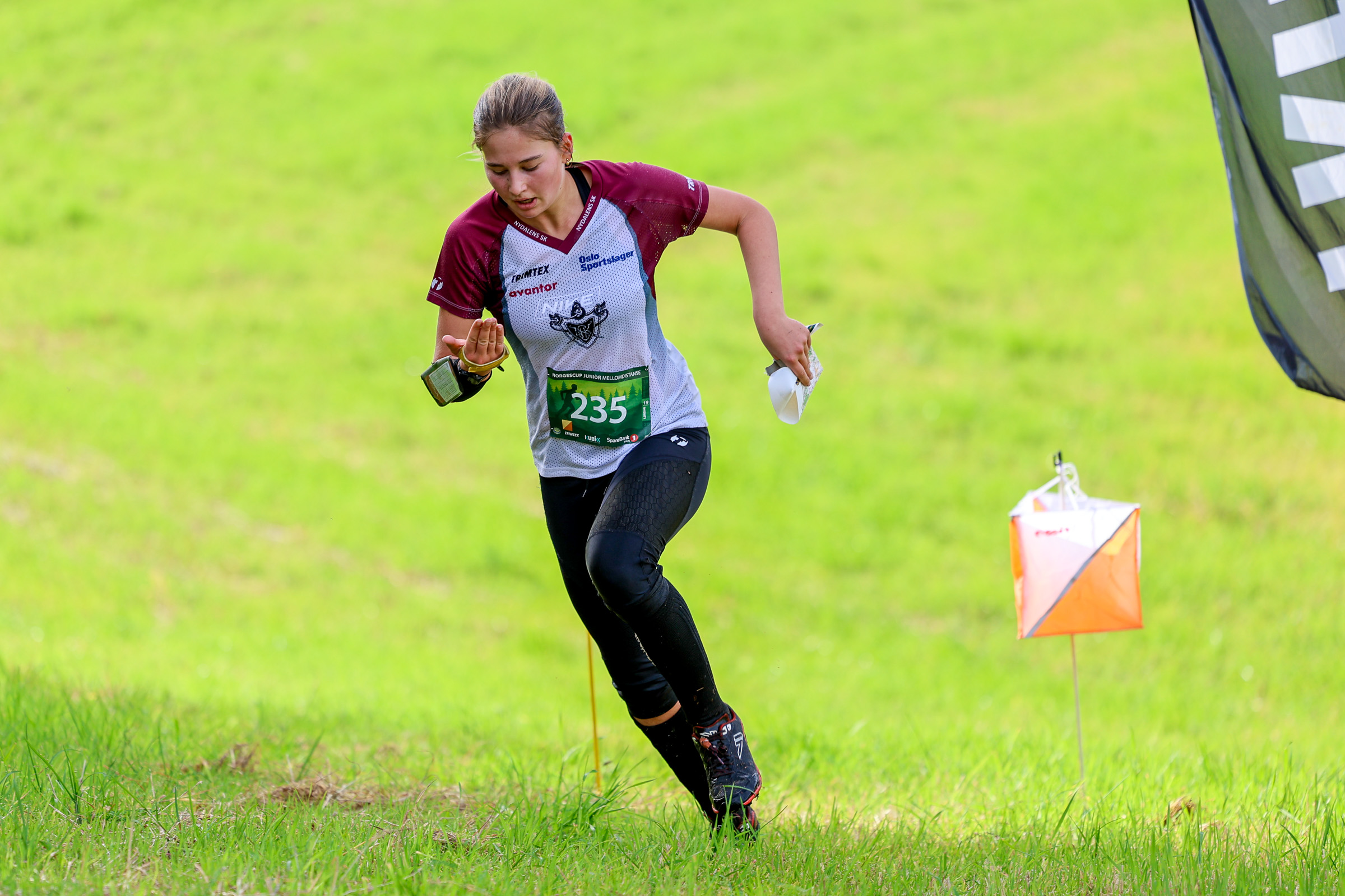 Image for Klar juniorseier til Scheele!