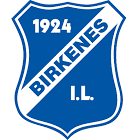 Birkenes IL - Håndball
