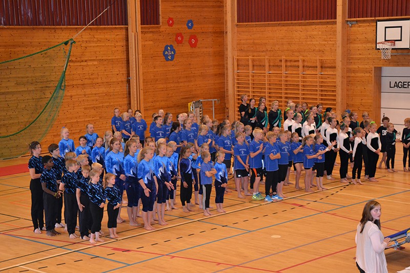 Buskerud Gymnastikkfestival 6. - 7. juni 2015 Gol