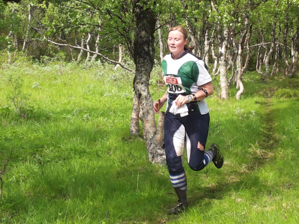 Sommerløpene i Nord-Østerdalen