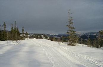 Åsan Rundt 4 mars 2017