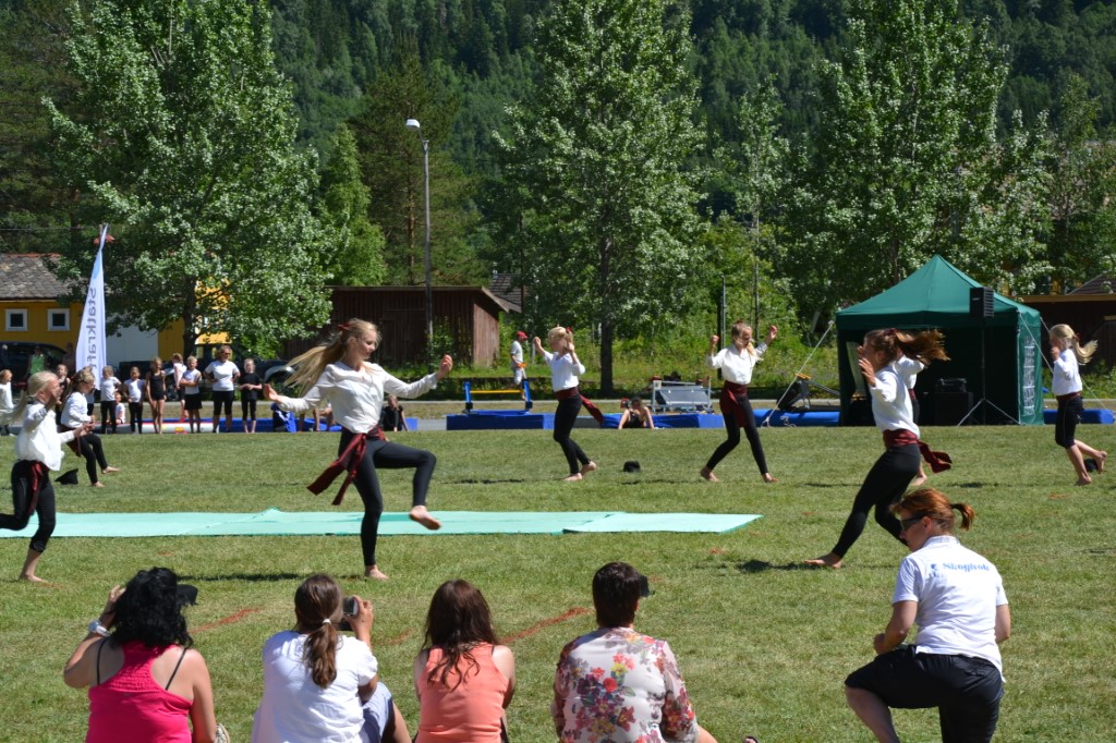 Turnstevne 2014