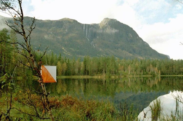 Bra løp og godt oppmøte!