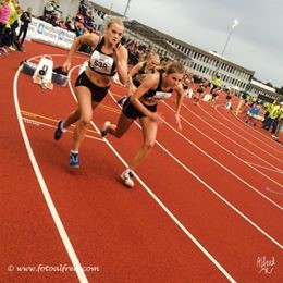 UM 2014 Hauhesund