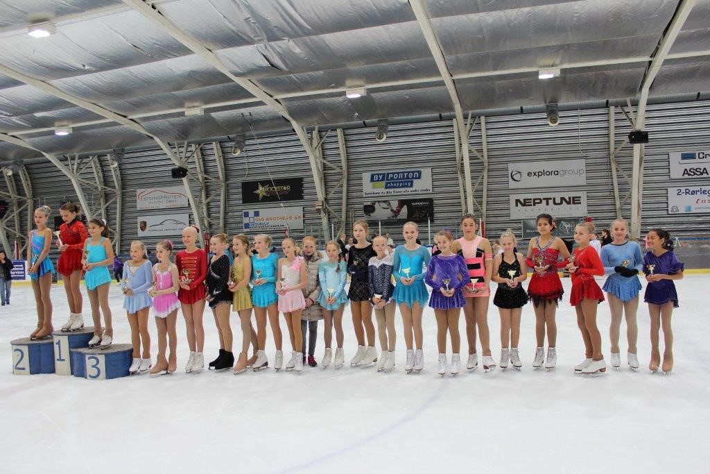 OI-stevne 17. - 18. oktober 2015