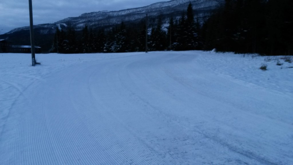 Bjerkvik idrettspark