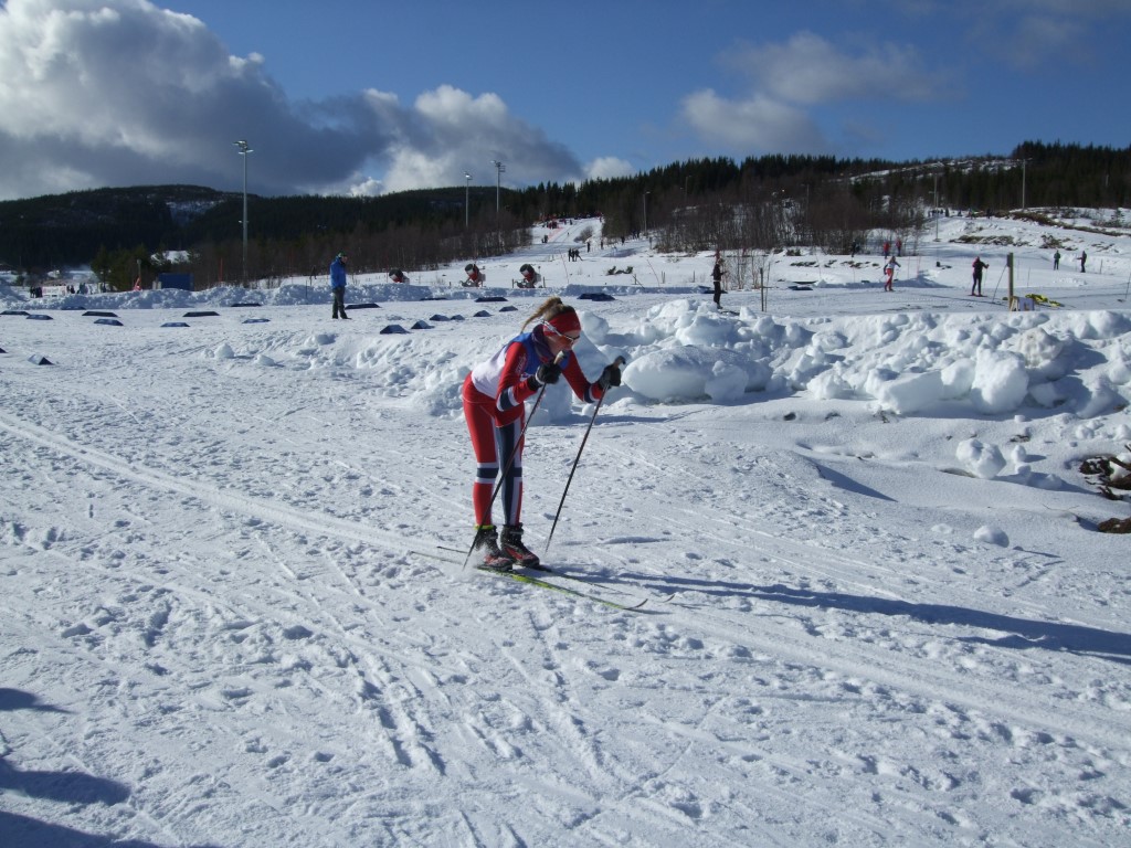 NNM2015 - Bodø 20-22. mars
