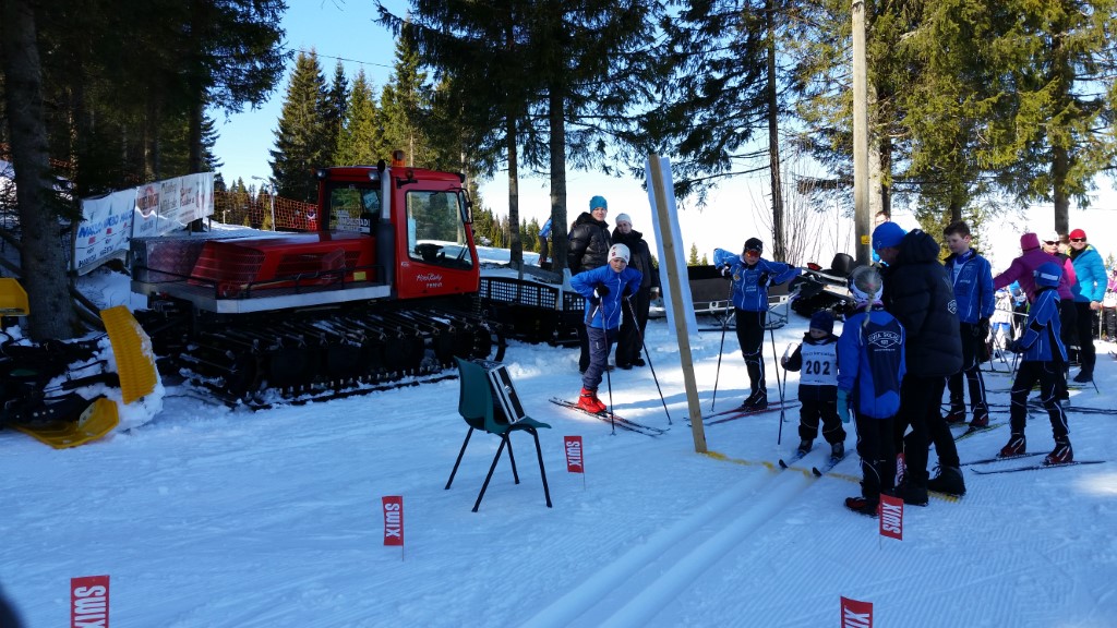 Hadelandsmesterskapet 2015