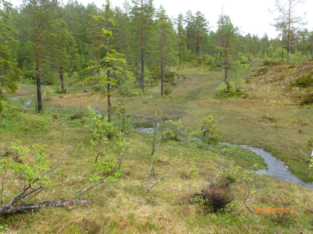 Gudrunhuletrim 