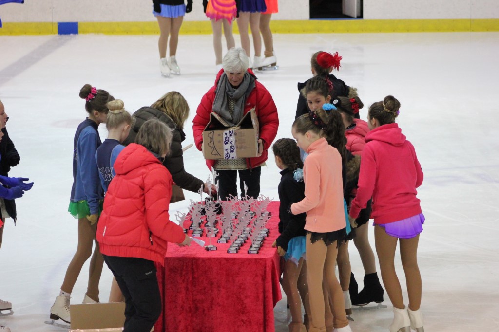 BSK-stevne 15. - 16. november