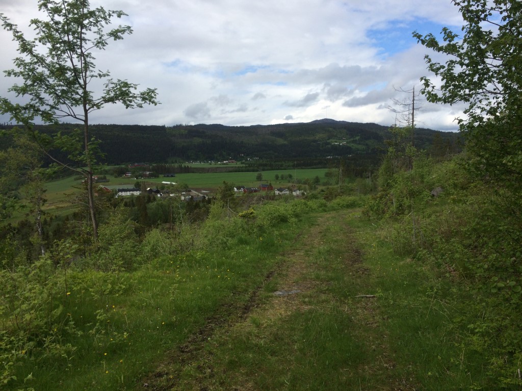 Oppsamling GUDRUNHULETRIM