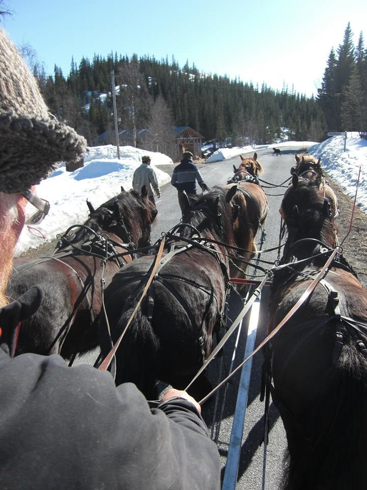 Fellestreninger i kjøring