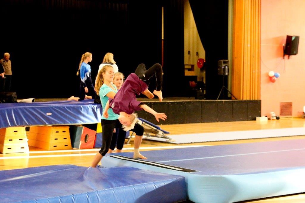 Gol IL - Gymnastikk og turn