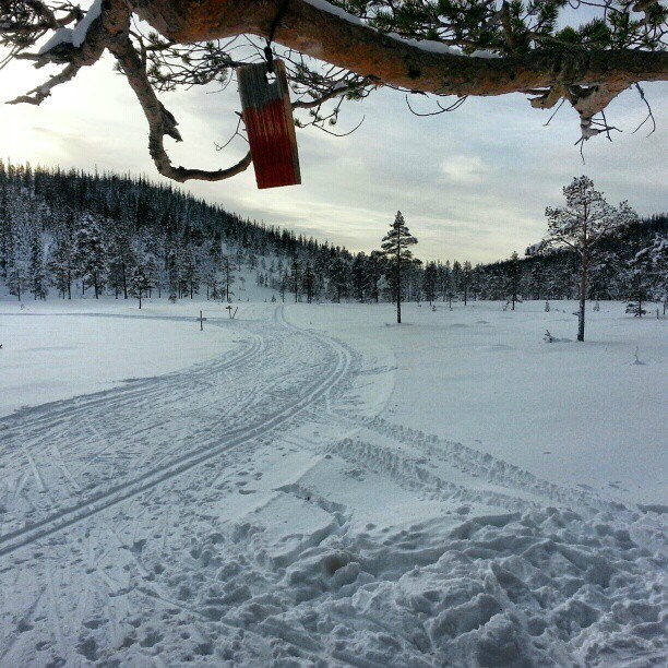 Flå IL - Ski