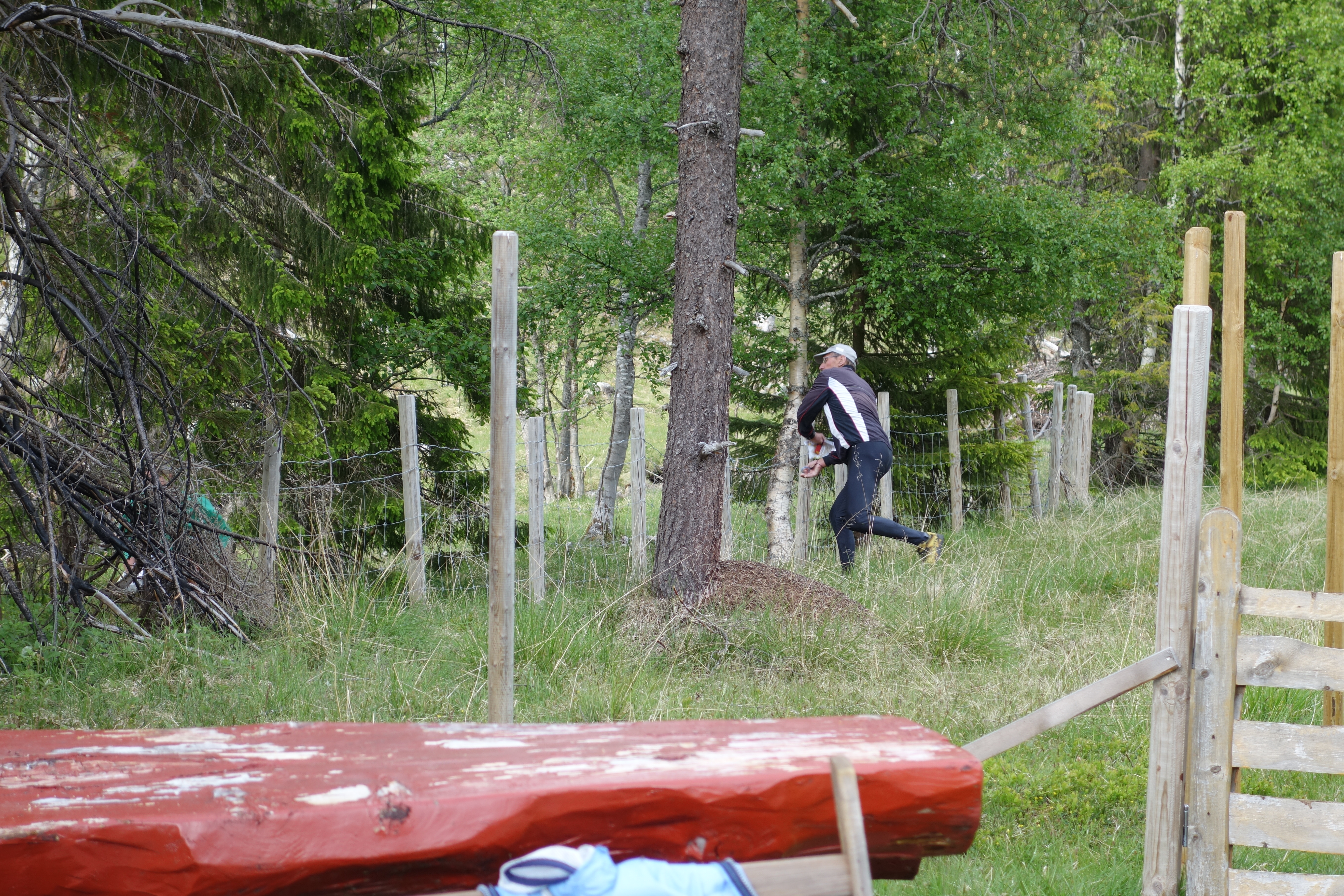 O-løp 15. juni 2016