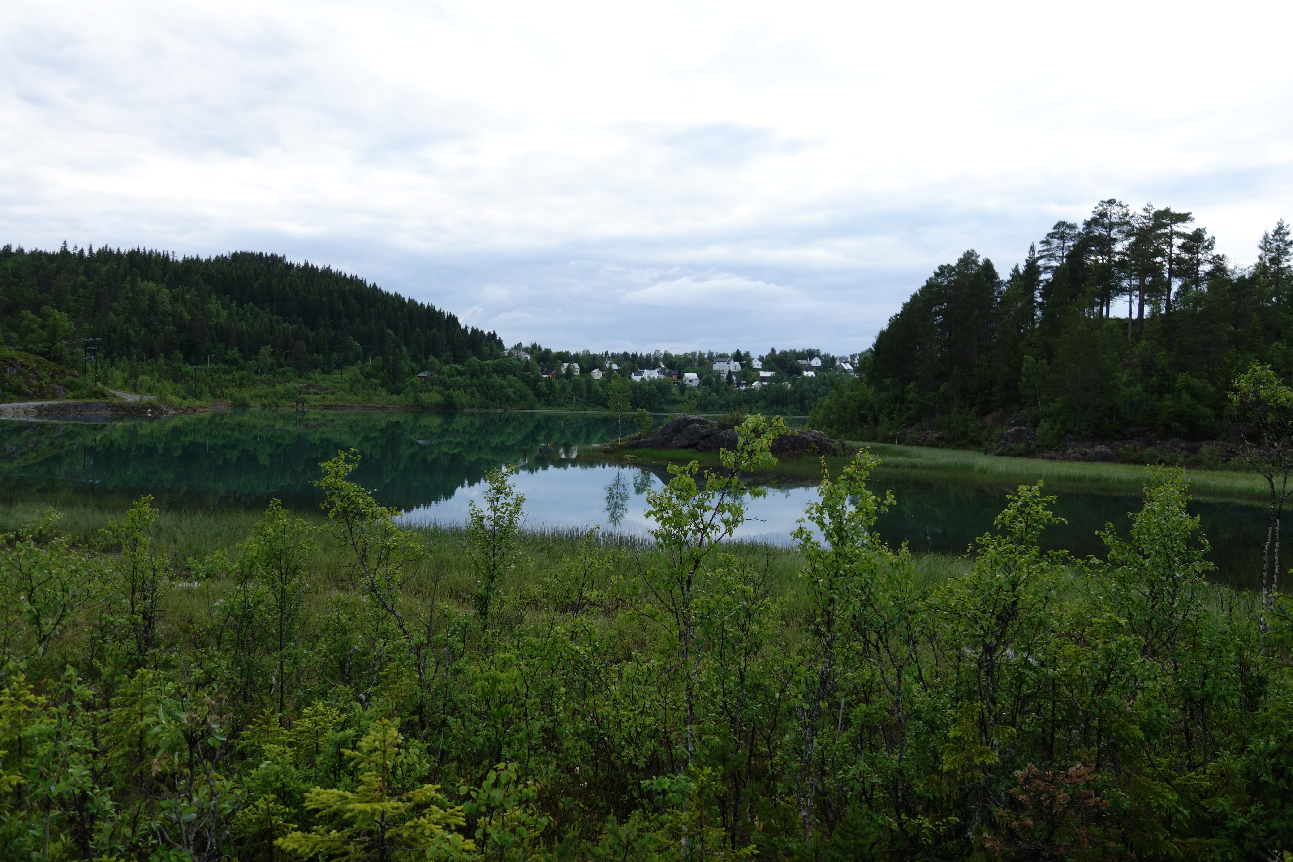 O-løp 22. juni 2016