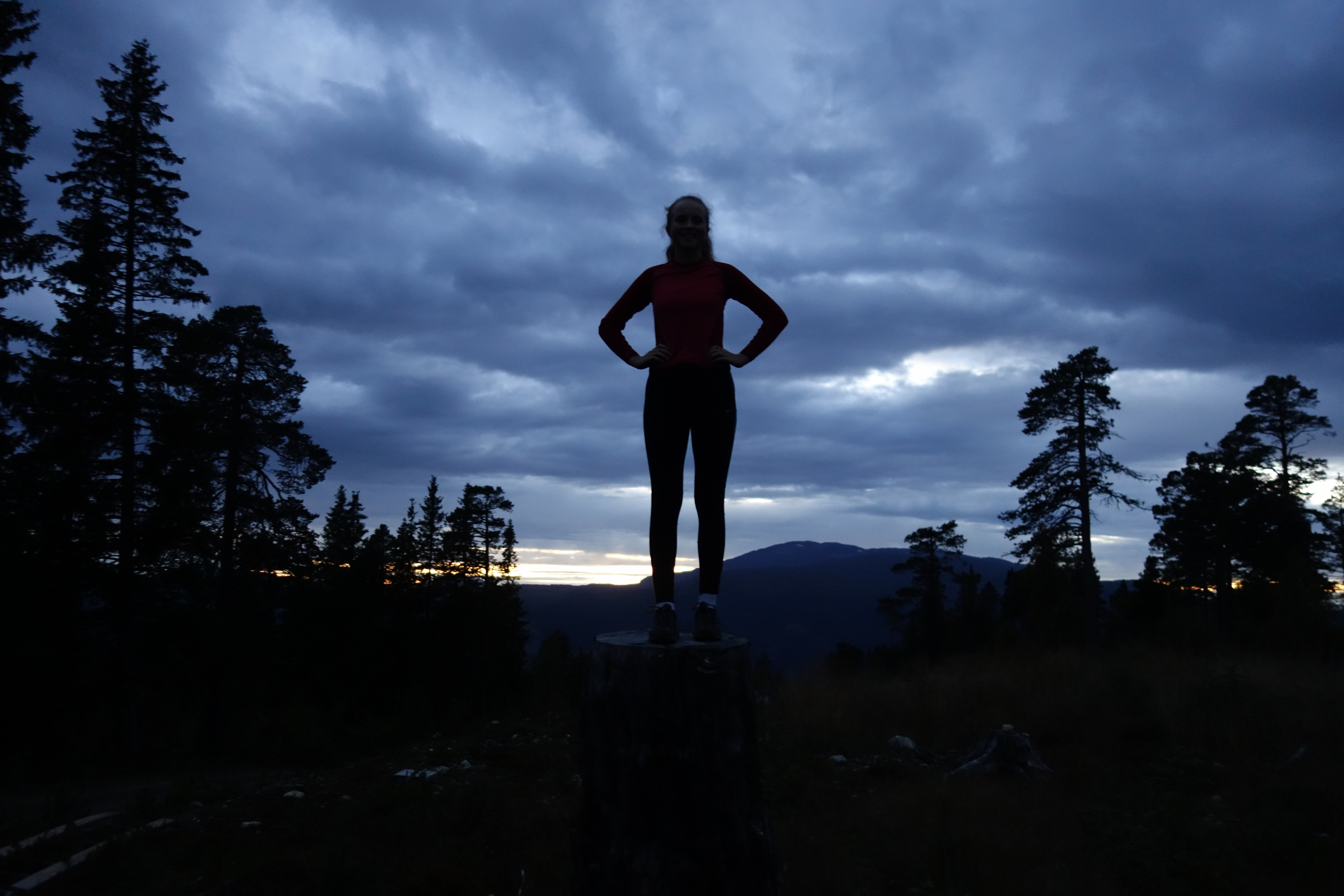 Nattorientering 2016