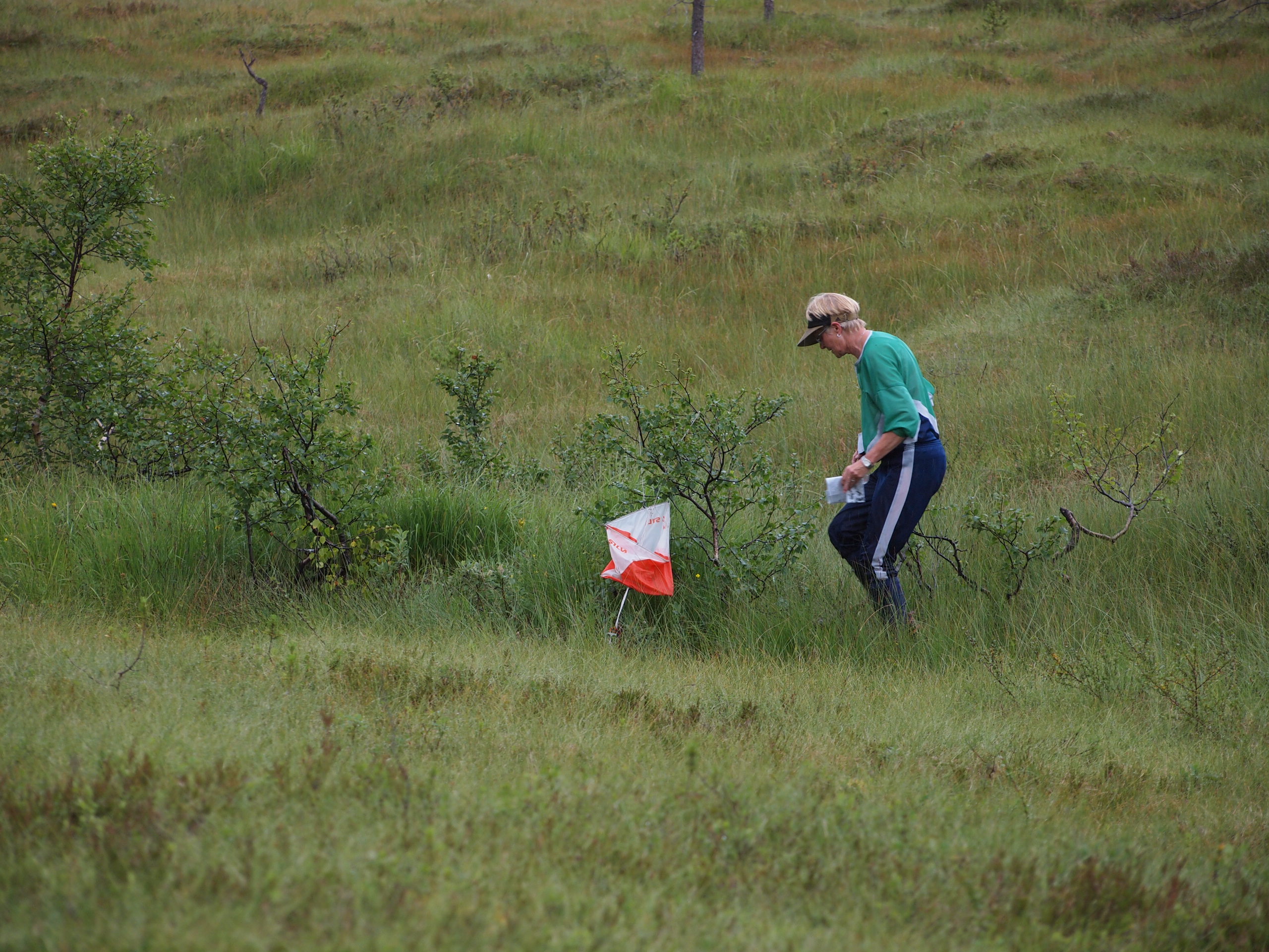 Bilder o-løp 2. august 2017