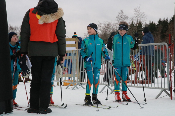 Bendit Saupstad 2017