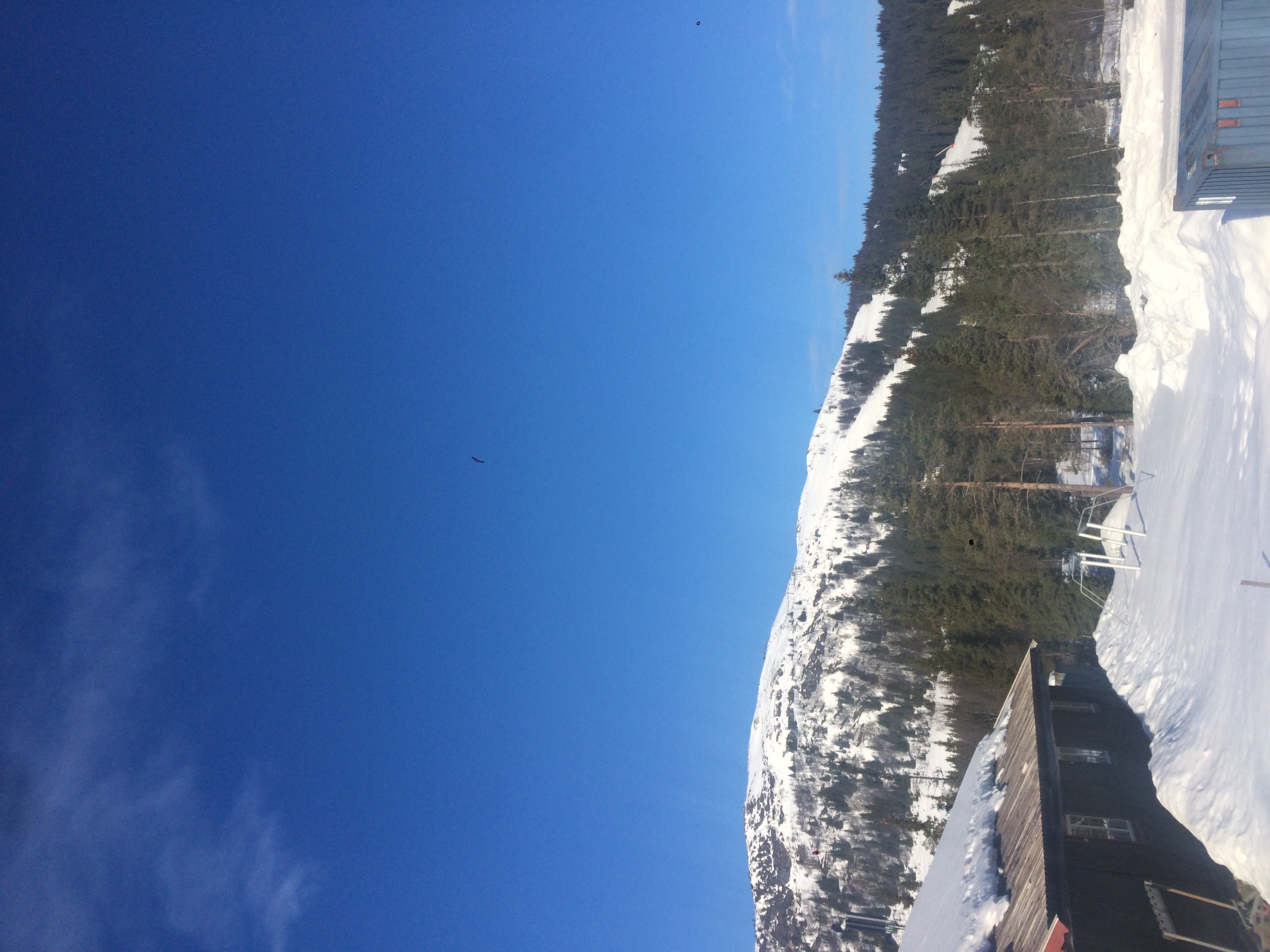 Dugnad før Gålårennet 2016