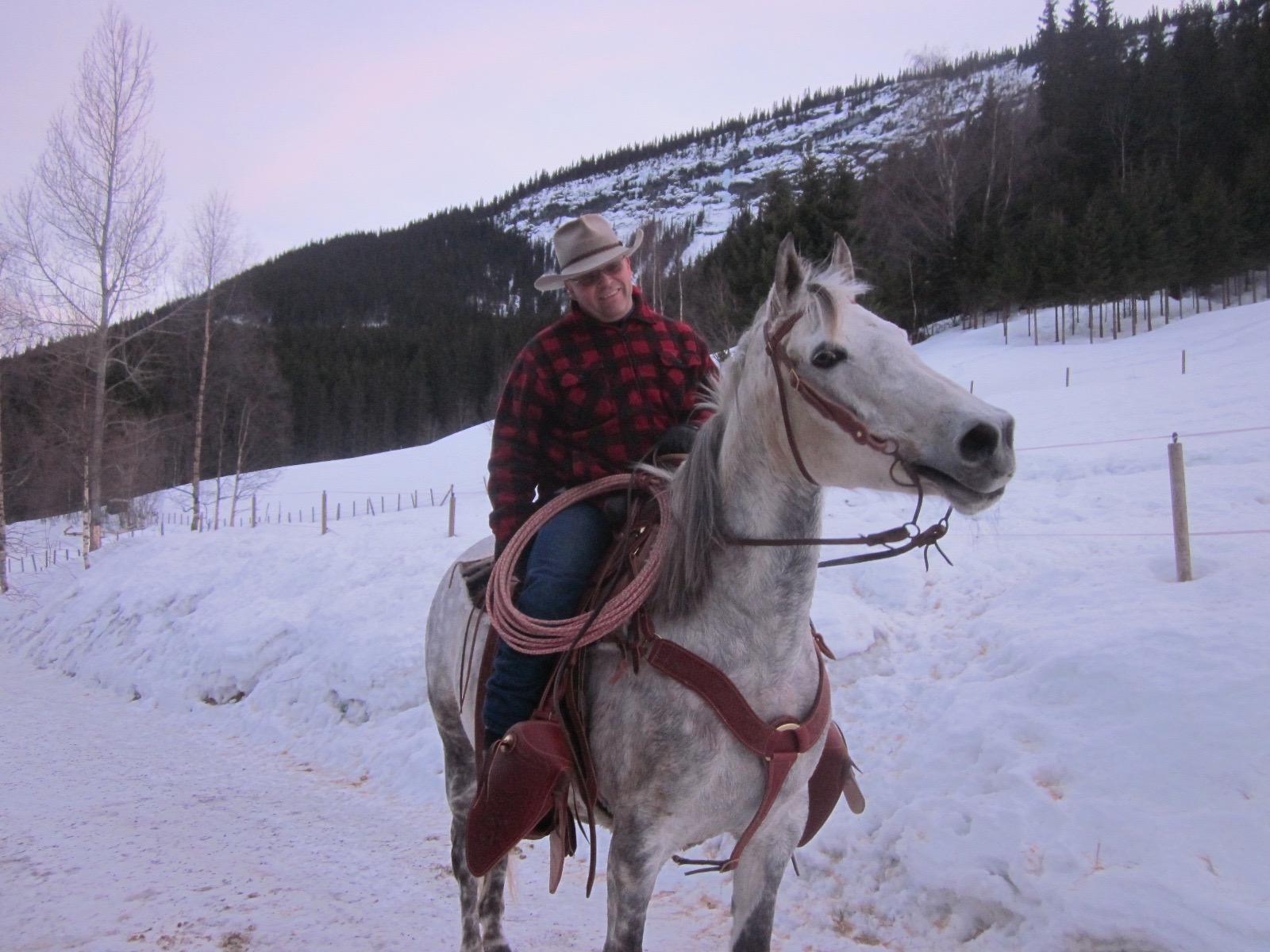Medlemmenes hester og utstyr!