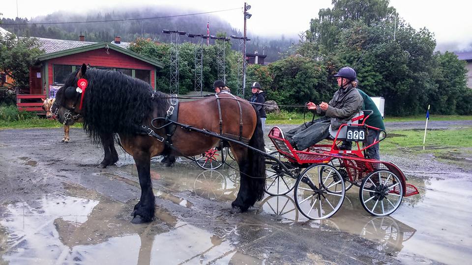 Kjørestevne- Fagernes
