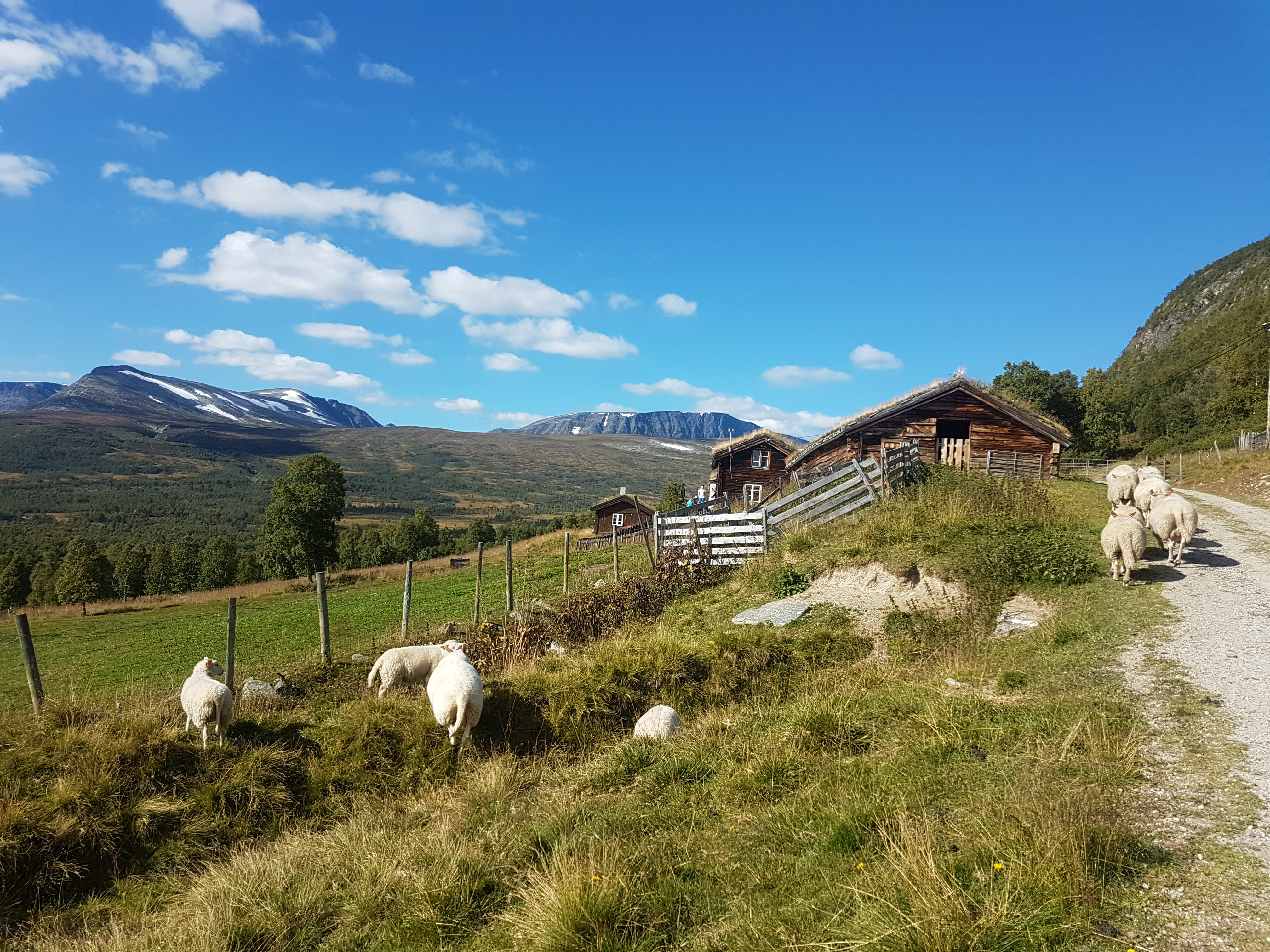 Gjevilvassdalen i strålende høstvær