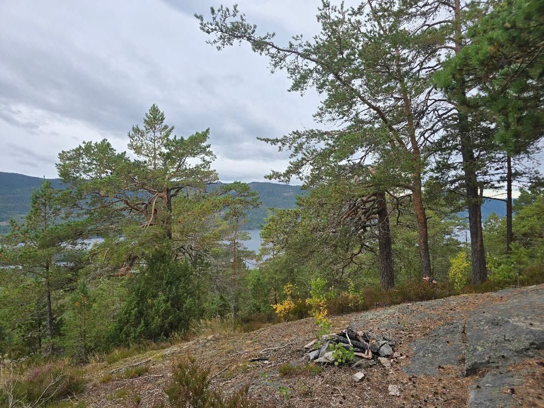 Bilder fra løypa