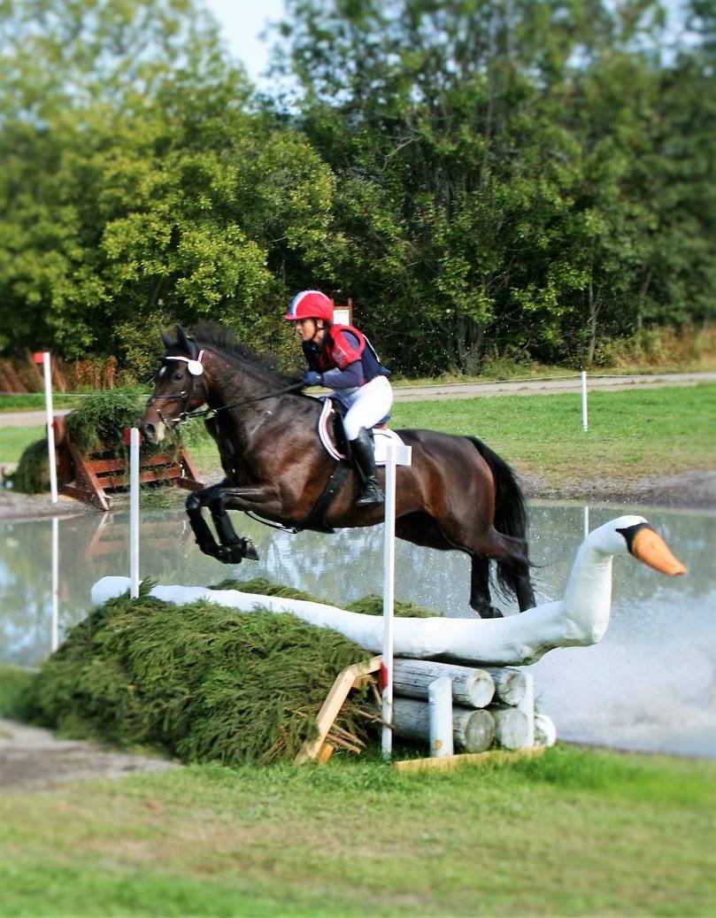 Nordisk / Baltisk Mesterskap