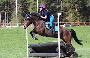 Stevnehelgen 26 og 27 mai 2018